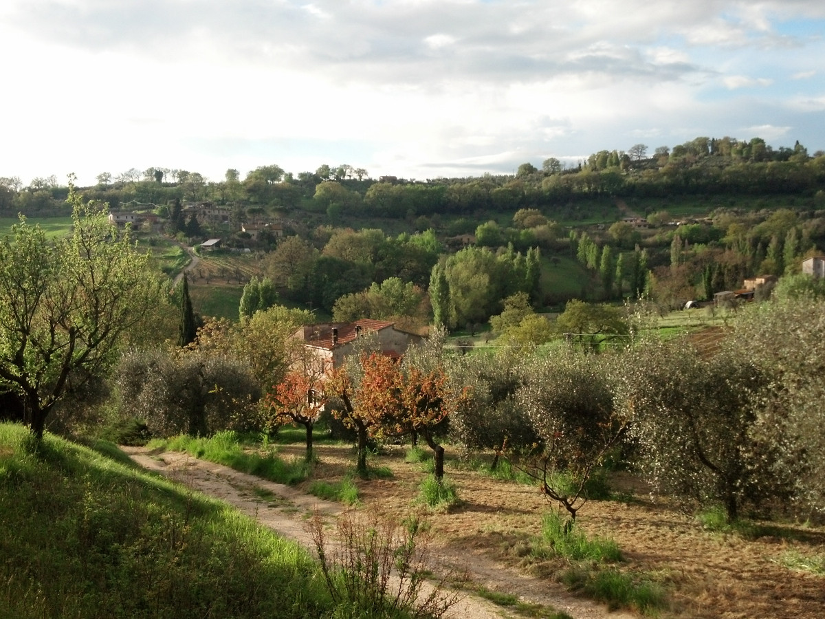 casale delle fontane