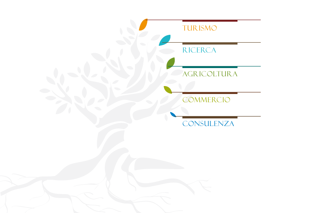 albero division