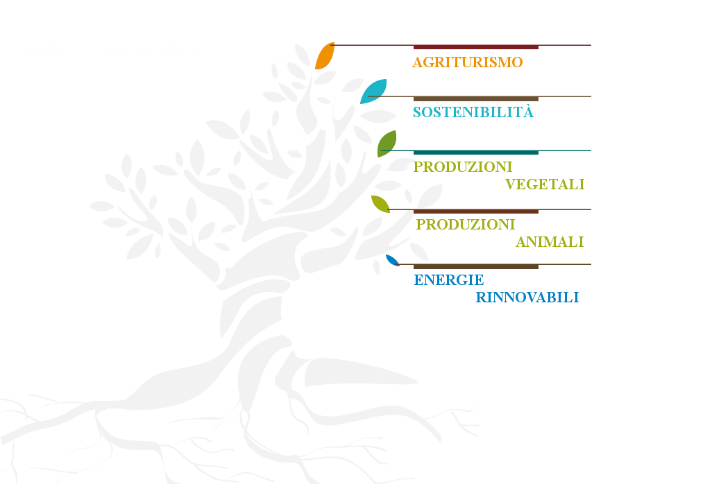 albero division BOCCAVOLA