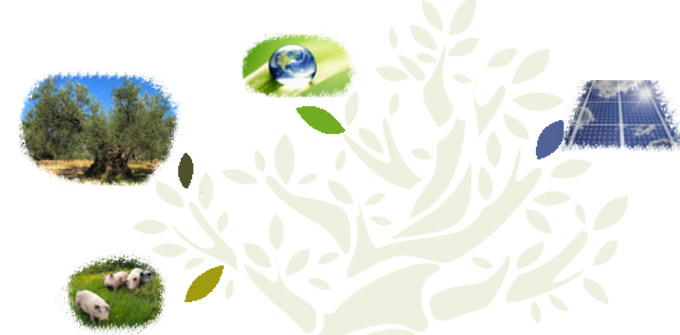 albero ricerca